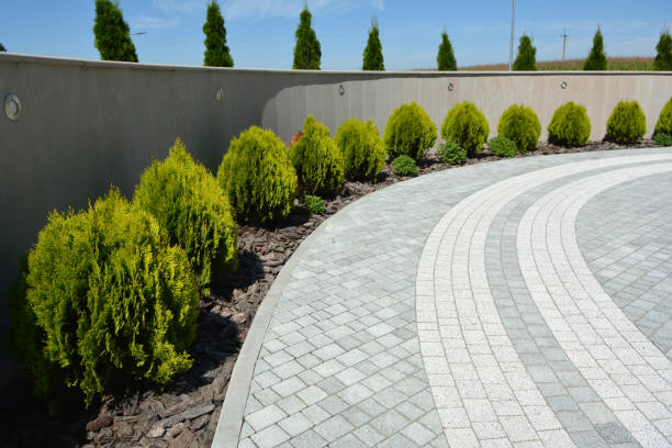 Best Cobblestone Driveway Pavers  in Mount Morris, MI